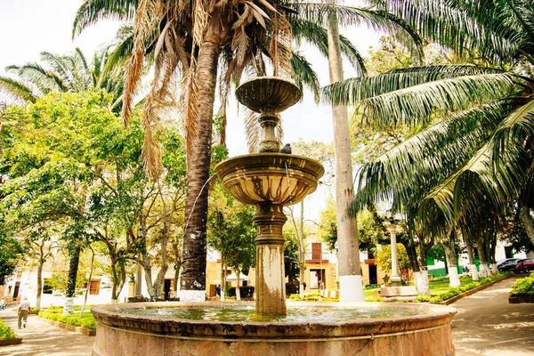 Fuente Colonial Histórica Plaza Barichara Colombia Foto Alta Calidad — Foto de Stock