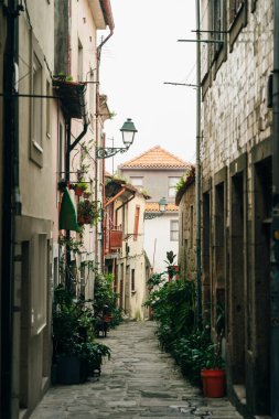 Porto, Portekiz 'de oldukça sevimli küçük bir cadde - Kasım, 2021. Yüksek kalite fotoğraf