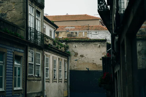 Rua Pequena Encantadora Tranquila Porto Portugal Nov 2021 Foto Alta — Fotografia de Stock