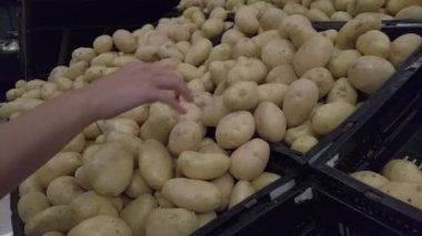 Kız süpermarkette beyaz soğan seçiyor. Yüksek kalite 4k görüntü