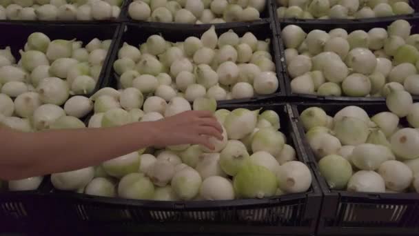 Menina Escolhe Cebola Branca Supermercado Imagens Alta Qualidade — Vídeo de Stock