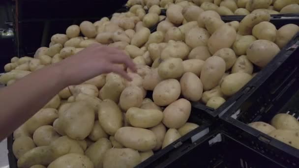 女の子はスーパーで白玉ねぎを選ぶ 高品質4K映像 — ストック動画