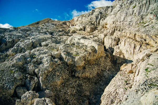 Cima Del Monte Fisht Riserva Della Biosfera Caucasica Repubblica Adygea — Foto Stock