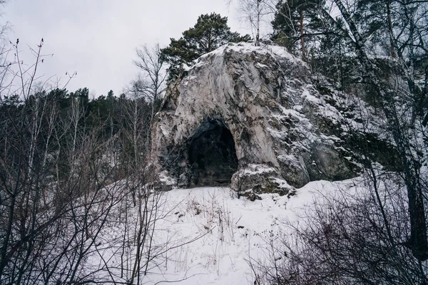 冬の森から洞窟を眺め — ストック写真