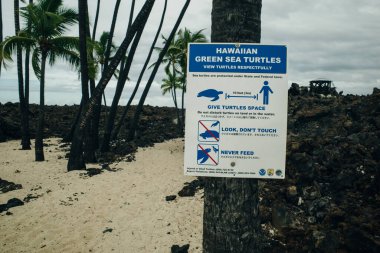 Hawaii 'deki Büyük Ada' da Mahaiula Sahili. Yüksek kalite fotoğraf