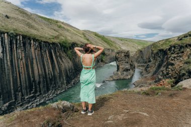 İzlanda, Studlagil Kanyonu 'ndan geçen Yeşil Nehir. Yüksek kalite fotoğraf