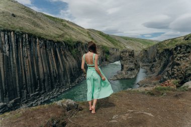 İzlanda, Studlagil Kanyonu 'ndan geçen Yeşil Nehir. Yüksek kalite fotoğraf