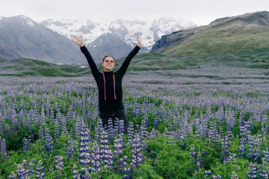 Lupin çiçekli tipik İzlanda manzarası. Yaz zamanı. Yüksek kalite fotoğraf