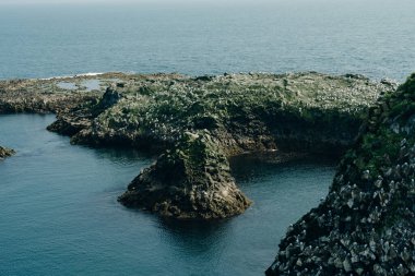 Arnarstapi Snaefellsnes 'in İzlanda doğa manzarası. Arnarstapi Limanı, İzlanda 'dan. Yüksek kalite fotoğraf