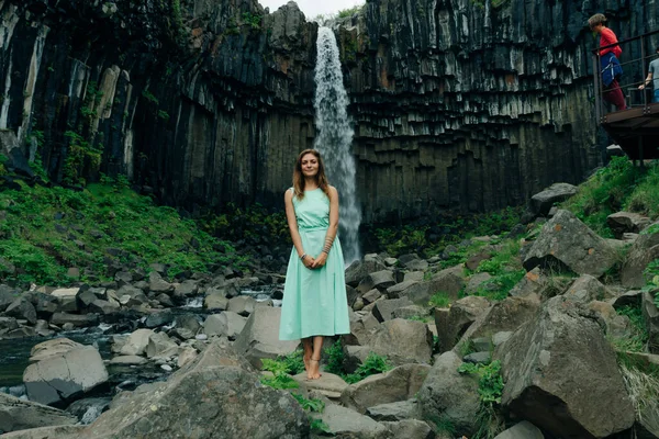 Cascata Svartifoss Nel Parco Nazionale Skaftafell Ghianda Foto Alta Qualità — Foto Stock