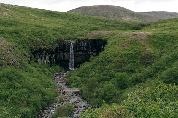 Wodospad Svartifoss Parku Narodowym Skaftafell Islandia Wysokiej Jakości Zdjęcie — Zdjęcie stockowe