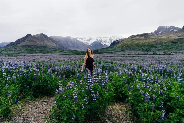 Typiskt Island Landskap Med Lupine Blommor Fält Sommartid Högkvalitativt Foto — Stockfoto