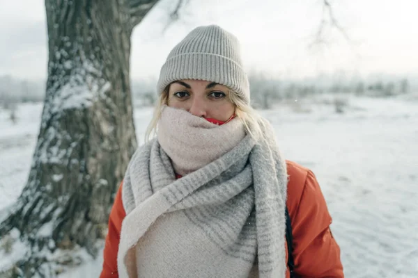 Soğuk kışta atkı ve şapkalı bir kız. Yüksek kalite fotoğraf