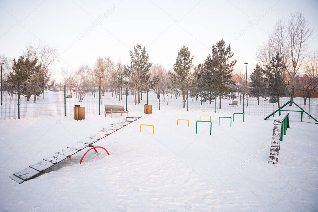 winter playground for dogs. High quality photo