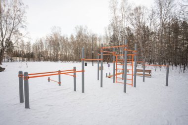 Sibirya 'daki kış ormanlarında odun parkı. Yüksek kalite fotoğraf