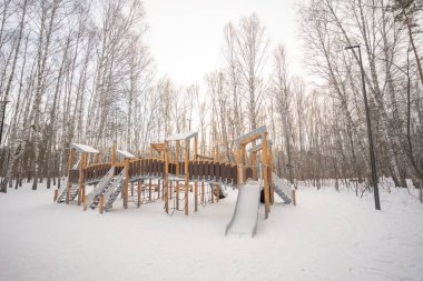 Sibirya 'daki kış ormanlarında odun parkı. Yüksek kalite fotoğraf