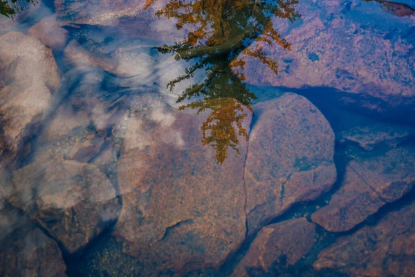 Reflexão Floresta Água Cristalina Lago Montanha Foto Alta Qualidade — Fotografia de Stock