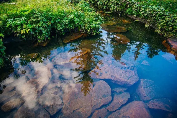 Spiegelung Des Waldes Kristallklaren Wasser Eines Bergsees Hochwertiges Foto — Stockfoto