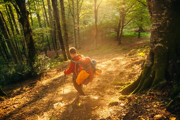 Turistas Descem Encosta Através Floresta Foto Alta Qualidade — Fotografia de Stock