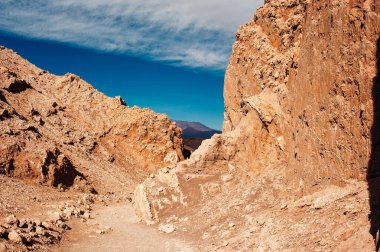 Reserva Nacional los flamencos 'un güzel manzarası.