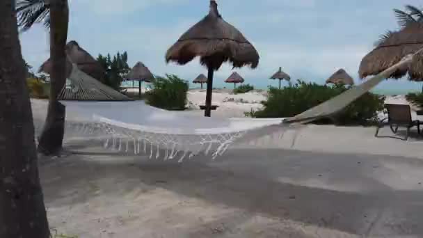 Hängematte Einem Sandstrand Inmitten Von Palmen Auf Der Insel Holbox — Stockvideo
