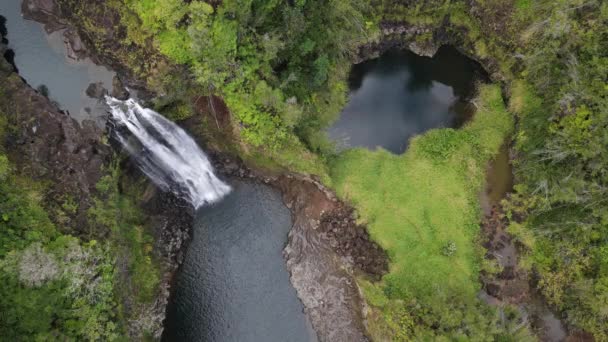 Hawaii Deki Wiluku Nehrindeki Şelalenin Havadan Görünüşü Yüksek Kalite Görüntü — Stok video