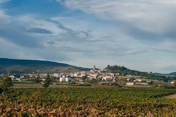 Navarrete Rioja España Nov 2021 Peregrino Que Llega Navarrete Una — Foto de Stock