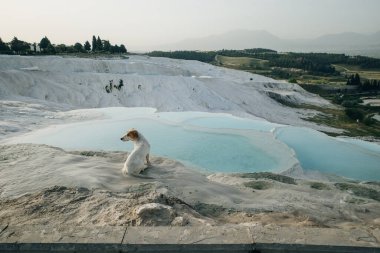 Pamukkale 'deki doğal travertin havuzları ve terasları. Türkiye 'nin güneybatısındaki pamuk kale. Yüksek kalite fotoğraf