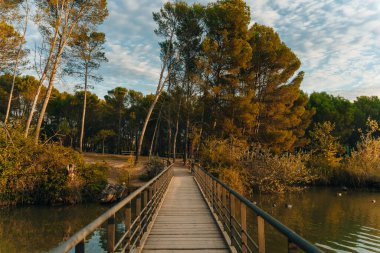 İspanya, Logrono 'daki La Grajera rezervuarının manzarası. Yüksek kalite fotoğraf