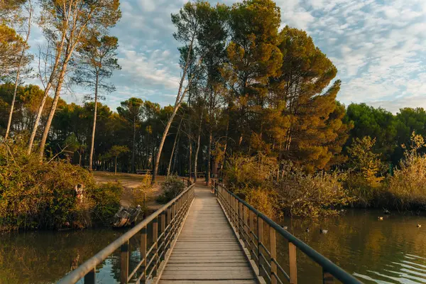 İspanya, Logrono 'daki La Grajera rezervuarının manzarası. Yüksek kalite fotoğraf
