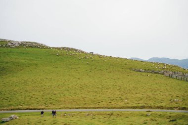 St Jean Pied du Port 'tan Roncevaux' ya Camino Frances 'den Santiago de Compostela' ya kadar Pireneler 'in izini sürün. Yüksek kalite fotoğraf