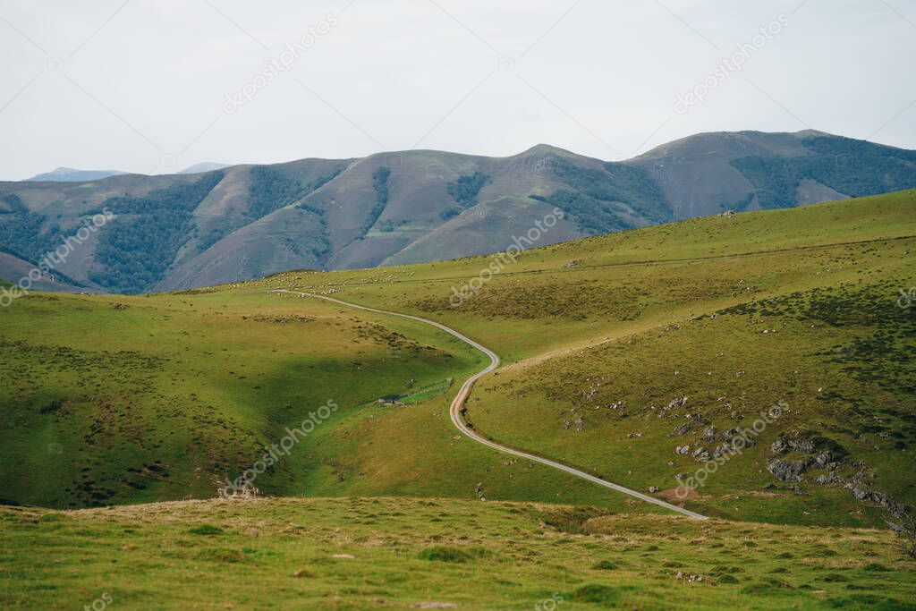 Track over the Pyrenees from St Jean Pied du Port to Roncevaux on the Camino Frances to Santiago de Compostela. High quality photo