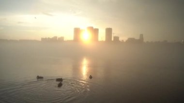 Gün batımında gölde sisli, sisli bir manzara ve şehrin arka planında yüzen iki ördek.