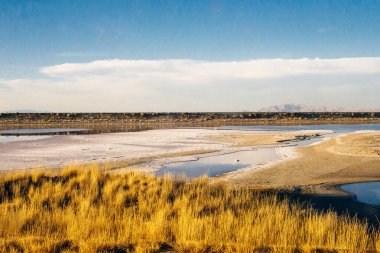 Tuz ve Sığ Su Bonneville Tuz Düzlükleri, Utah, ABD. Yüksek kalite fotoğraf