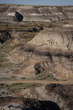 At nalı kanyonu davulcu Alberta 'nın yanında.