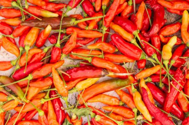 Tırmanışçı bitkiler, büyüdükçe duvar, ağaç, çit vb gibi dış desteklere yapışan bitkilerdir. Burada yeşil ve mor renkli bir dağcı bitkisi var.