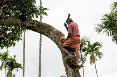 Ağaçların ve diğer bitkilerin kaybı iklim değişikliğine, çölleşmeye, toprak erozyonuna, daha az ekine, sele, atmosferdeki artan sera gazlarına ve yerli halk için bir çok soruna yol açabilir..