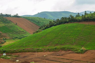 Yükselen dağlar, karasal tarım, genişleyen çay bahçeleri, doğanın her yerdeki yeşillik armağanı Ooty 'nin güzelliğini açıklayabilmenin tek yolu..