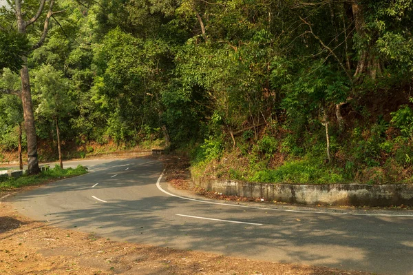 Viaje Través Bosque Espeso Será Muy Frío Con Aire Fresco —  Fotos de Stock