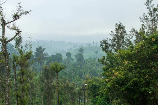 Towering mountains, nature\'s gift of greenery everywhere is the way one can explain the beauty of Ooty.