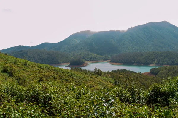 Высокие Горы Разросшиеся Чайные Сады Реки Природный Дар Зелени Повсюду — стоковое фото