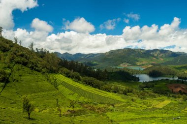 Yükselen dağlar, çay tarlaları, nehir, mavi ve beyaz gökyüzü, sudaki yansıma, doğanın her yerdeki yeşillik armağanı Ooty 'nin güzelliğini açıklayabilmenin tek yolu..