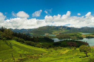 Yükselen dağlar, çay tarlaları, nehir, mavi ve beyaz gökyüzü, sudaki yansıma, doğanın her yerdeki yeşillik armağanı Ooty 'nin güzelliğini açıklayabilmenin tek yolu..