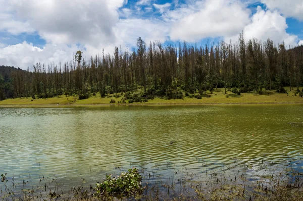 Vacker Ooty Sjö Med Sin Natursköna Skönhet Mot Blå Himmel — Stockfoto