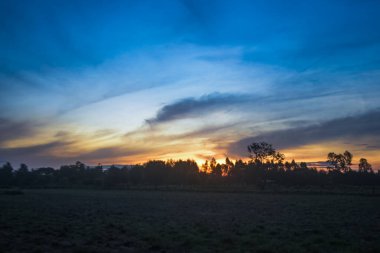 Güneş pirinç tarlasının ortasında güzelce doğmak üzere..