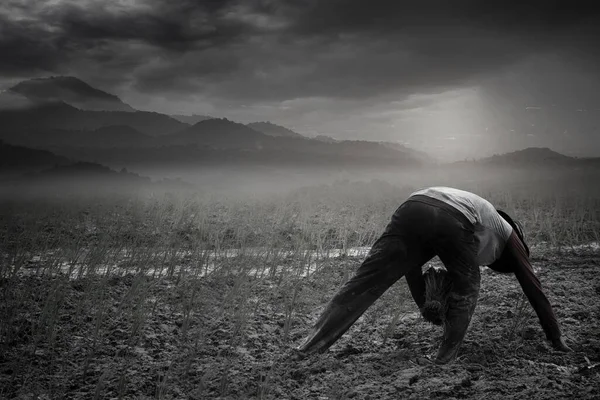 A black and white picture of a farmer enjoying his field in the morning.