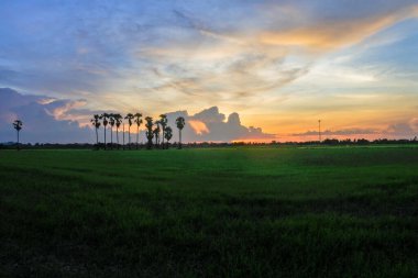 The sun is rising in the morning beautifully in the middle of the field.