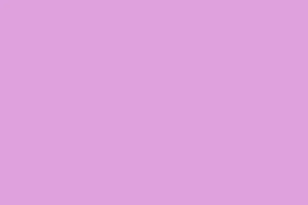 Сливовый Цвет Фона — стоковое фото
