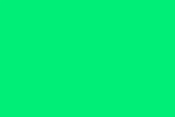 Springgreen Barva Pro Pozadí — Stock fotografie
