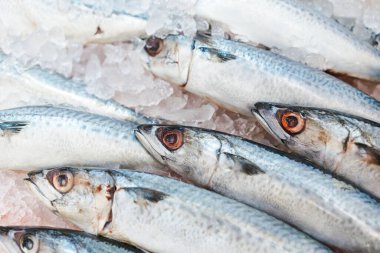 Yemek geçmişi. Süpermarkette buzda taze uskumru. Scombridae Saba Balığı.